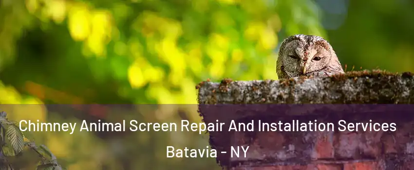  Chimney Animal Screen Repair And Installation Services Batavia - NY