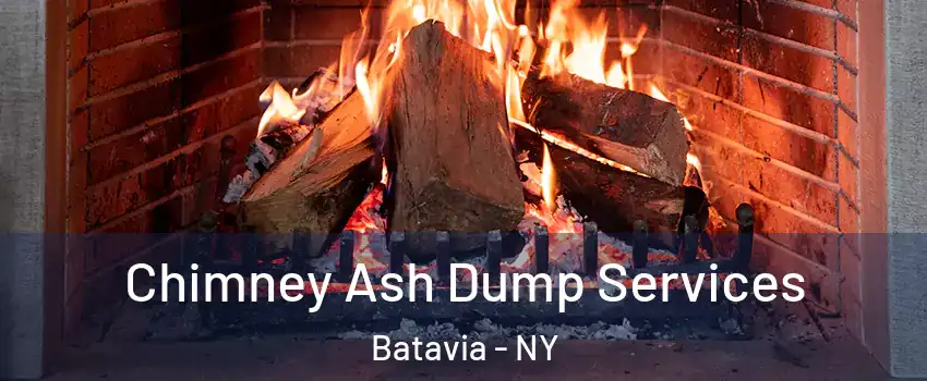  Chimney Ash Dump Services Batavia - NY