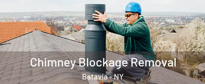  Chimney Blockage Removal Batavia - NY