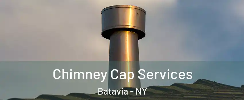  Chimney Cap Services Batavia - NY