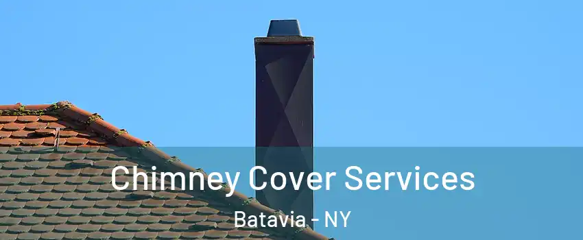  Chimney Cover Services Batavia - NY