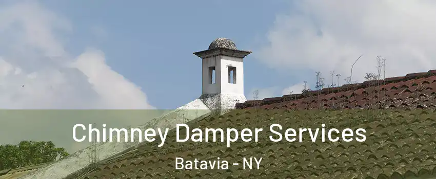  Chimney Damper Services Batavia - NY