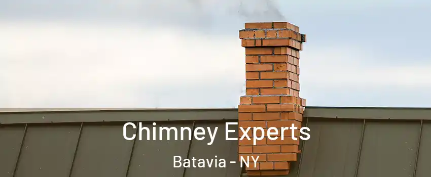 Chimney Experts Batavia - NY