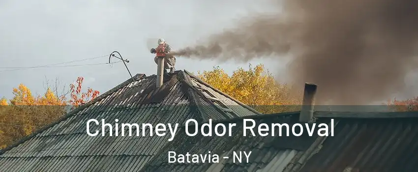  Chimney Odor Removal Batavia - NY