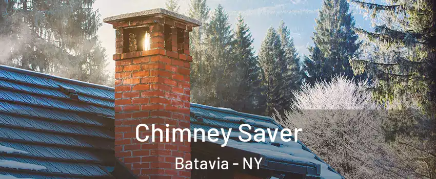  Chimney Saver Batavia - NY