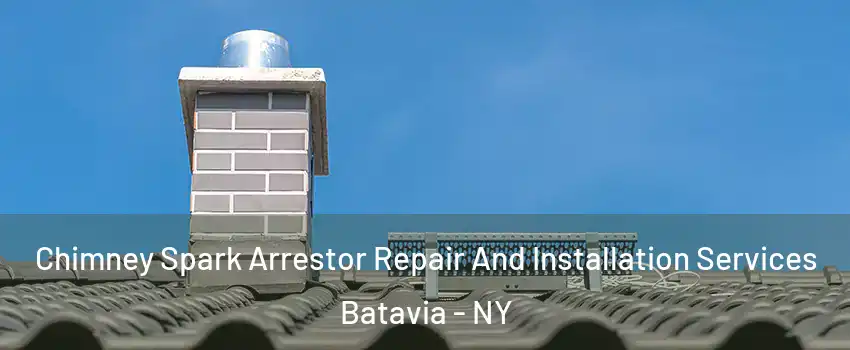  Chimney Spark Arrestor Repair And Installation Services Batavia - NY