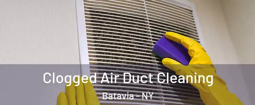  Clogged Air Duct Cleaning Batavia - NY
