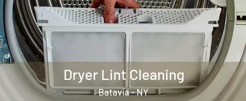  Dryer Lint Cleaning Batavia - NY