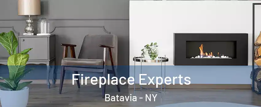  Fireplace Experts Batavia - NY