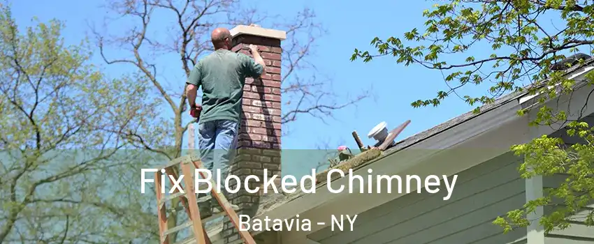  Fix Blocked Chimney Batavia - NY