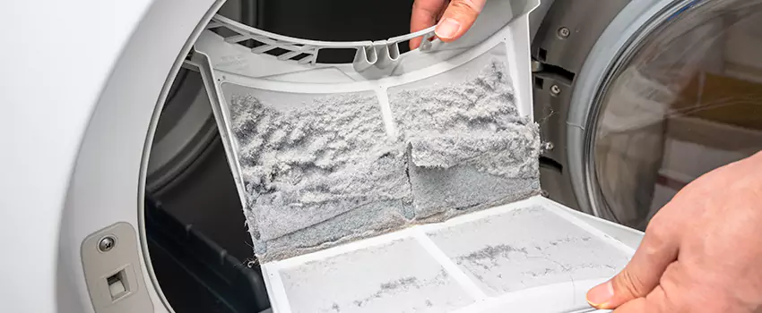 Best Dryer Lint Removal Company in Batavia, New York