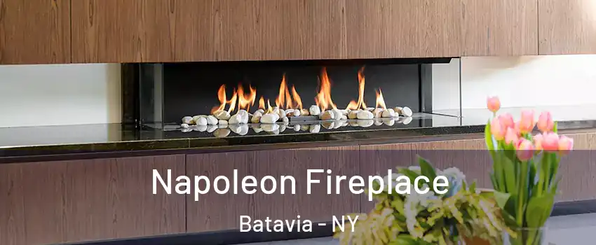  Napoleon Fireplace Batavia - NY