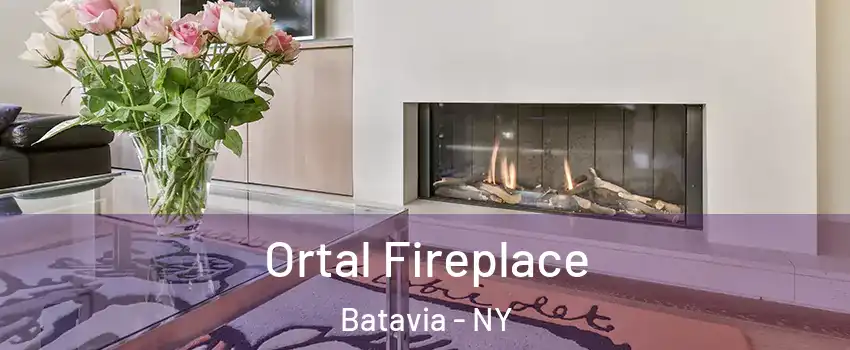 Ortal Fireplace Batavia - NY